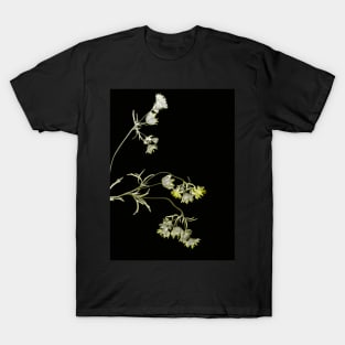 Pressed Flowers T-Shirt